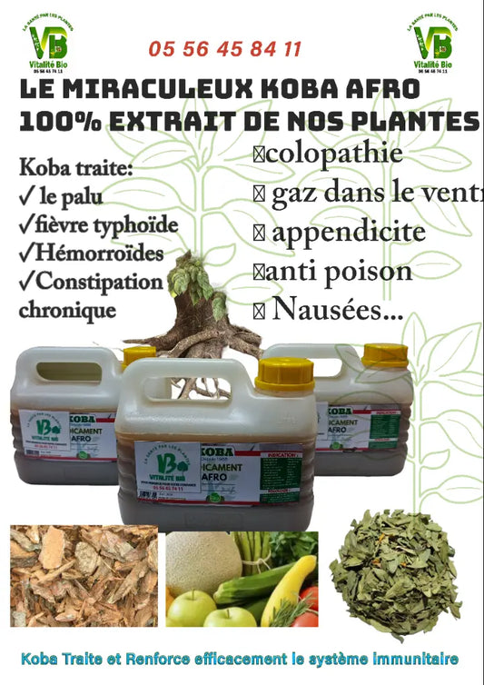 🌿🔥 𝗞𝗢𝗕𝗔 𝗔𝗙𝗥𝗢 — La Nature qui Soigne le Corps Entier 🧬💪